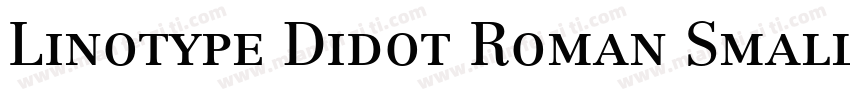 Linotype Didot Roman Small Caps & Oldstyle Figures字体转换